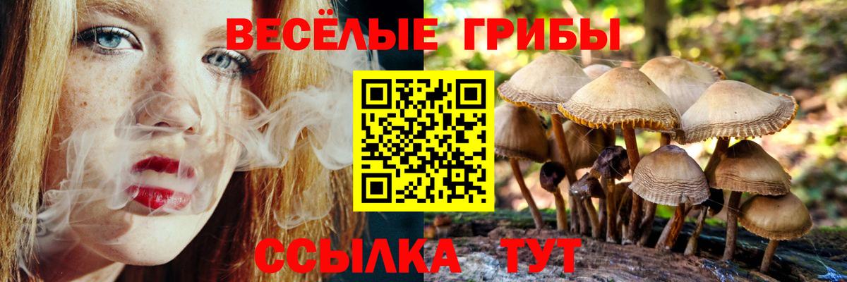 Псилоцибиновые грибы GOLDEN TEACHER Донской
