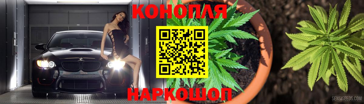 Донской  Конопля планчик  Канабис индика  Вход с VPN 